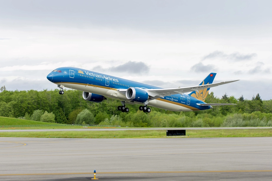 Máy bay Vietnam Airlines hạ cánh khẩn cấp Đà Nẵng kịp thời cứu khách- Ảnh 1.