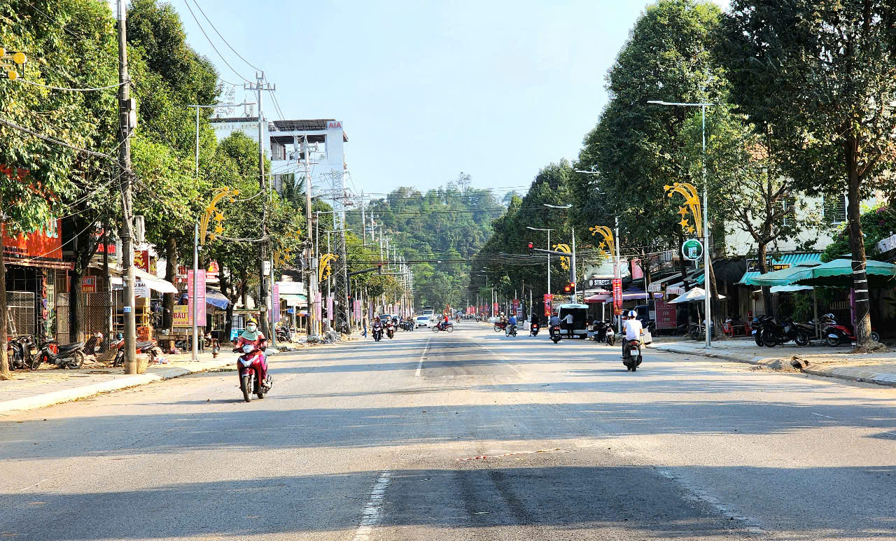 Quảng Ngãi: Nước rút hoàn thành đường Phạm Văn Đồng và quảng trường trăm tỷ- Ảnh 5.