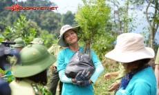 Hoa hậu trồng rừng: H'Hen Niê mang đến nguồn cảm hứng cho giới trẻ