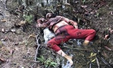 Phát hiện thi thể phụ nữ phân huỷ trong vườn măng cụt ở Củ Chi
