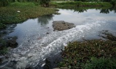 Mùi hôi thối bốc lên từ nguồn nước thải ra sông ở Đà Nẵng