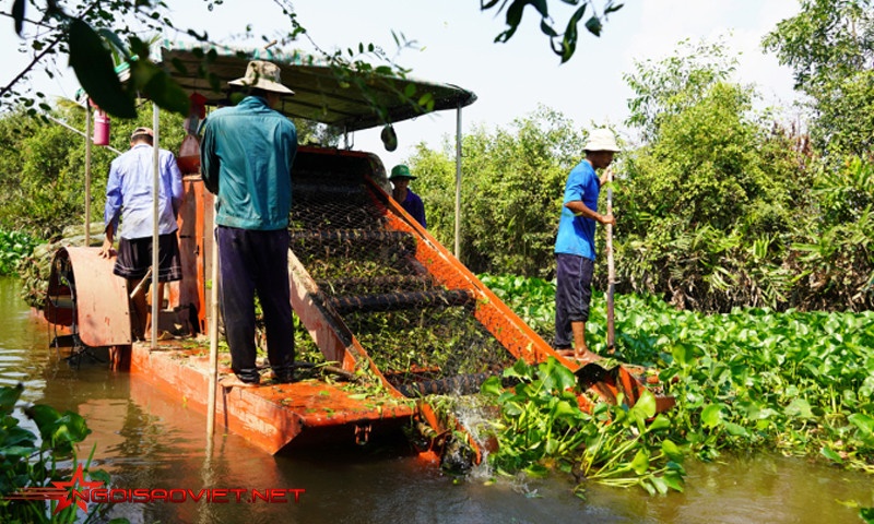 Máy vớt lục bình của ông Nguyễn Văn Dạn đang được chạy thử nghiệm